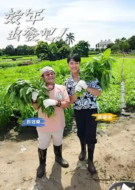 天龙影视美食综艺《今晚去哪吃》封面